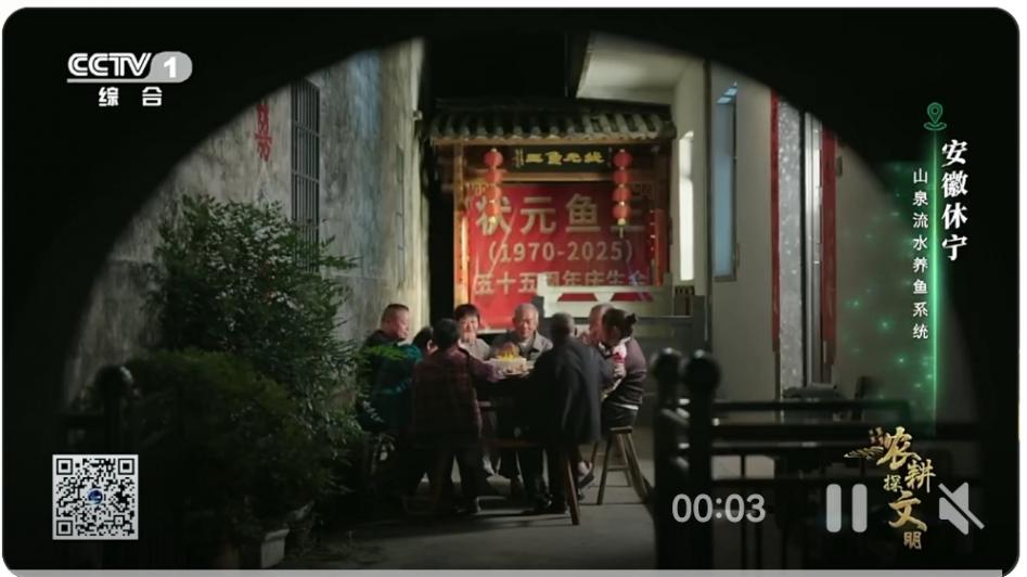 震驚!一條55年的“狀元魚王”成鄉村傳奇,吉尼斯指日可待!